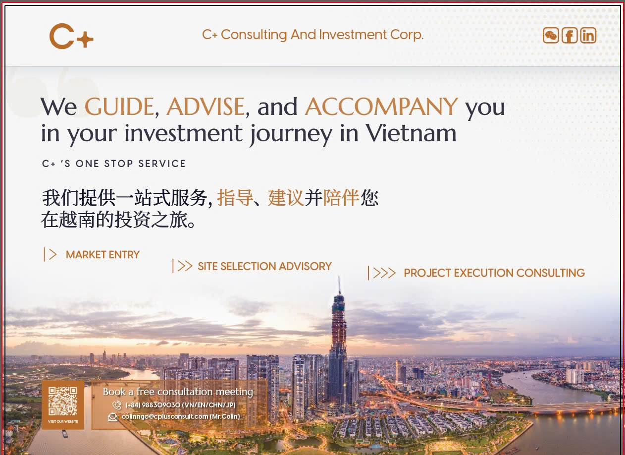 C+ Consulting And Investment Corp.